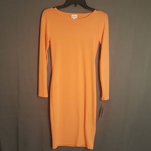 ☆SALE 5 for $25☆ Debbie Dress NWT